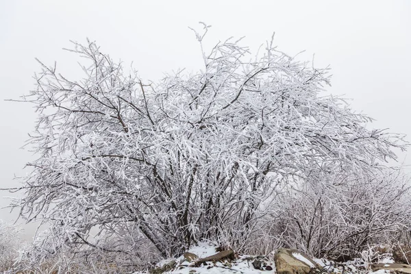 Frozen Winter Landscape in sichuan,China. — Stock Photo, Image