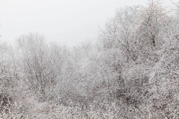 Frozen Winter Landscape in sichuan,China. — Stock Photo, Image