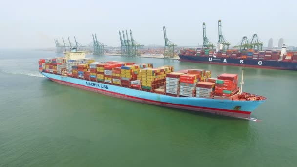 Luftaufnahme eines großen Containerschiffs auf See — Stockvideo