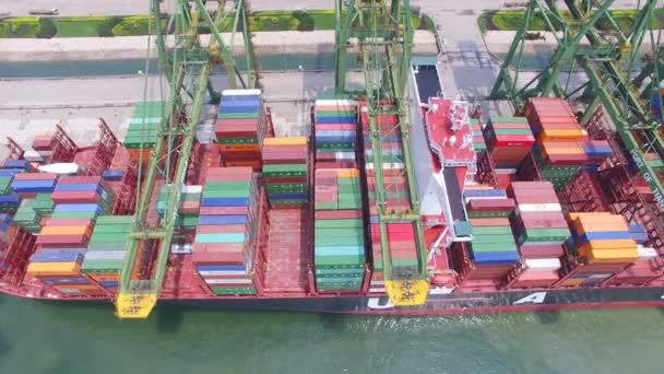 Tianjin, China - 4 de julio de 2017: Vista aérea del puerto con contenedores de carga, Tianjin, China . — Vídeo de stock