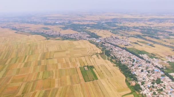 Vista aérea del campo de trigo y la aldea, Xian, China . — Vídeo de stock