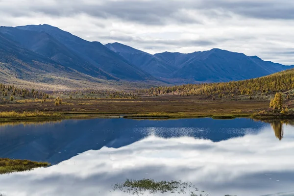 Panorama dzikiej leśnej jeziora w jesiennym sezonie, Rosja — Zdjęcie stockowe