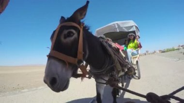 Dunhuang - Jul 09: Gobi Çölü'nde eşek arabası turistler , Jul 09, 2015,Gansu eyaleti, Çin.