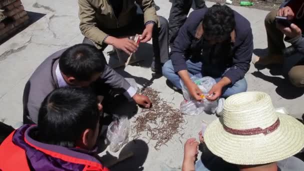 Qinghai - MAY 29: Tibetan trading cordyceps sinensis on street, May 29, 2015, Qinghai Province, China . — стоковое видео