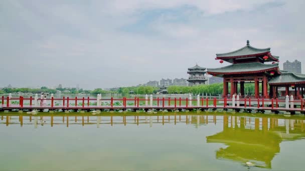 Tó a kínai parkban, Xian, Shaanxi, Kína — Stock videók