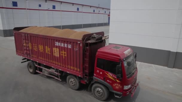 XIAN - JUL 06: Transporte de camiones de trigo en depósito de reserva de granos, Jul 06, 2013, ciudad de Weinan, provincia de Shaanxi, China . — Vídeos de Stock