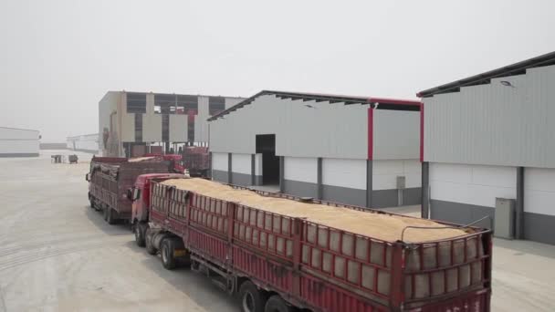 XIAN - JUL 06: Camion trasporto grano nel deposito di riserva di grano, Jul 06, 2013, città di Weinan, provincia dello Shaanxi, Cina . — Video Stock