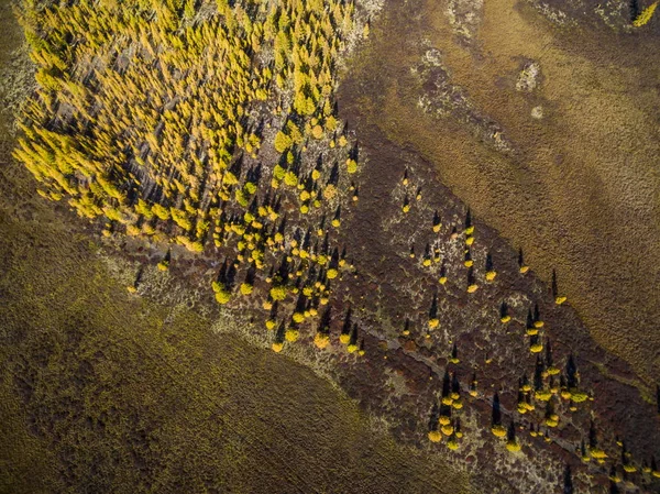 Vista aérea da floresta no Extremo Oriente, Rússia — Fotografia de Stock