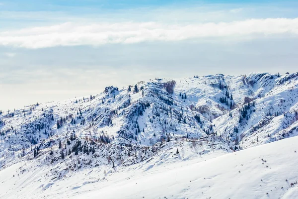 Sněžný Les v zimě. Zasněžené lesy Gonhryze pokryté sněhem v zimě — Stock fotografie
