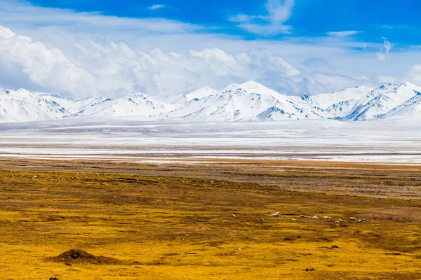 Krajobraz góry na płaskowyżu Qinghai, Chiny. Obrazy Stockowe bez tantiem