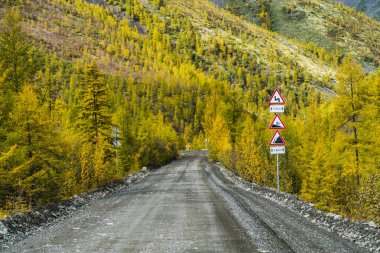 Ormanda güzel yol, Sonbahar, Rusya