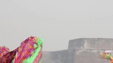 Xian, Çin - Şubat 02, 2012. Bahar Festivali 'nde ejderha dansı