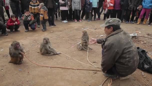 Xianyang, Chiny-luty 26 2012, uliczni wykonawcy małpy. To tradycyjna chińska rozrywka ludowa. — Wideo stockowe