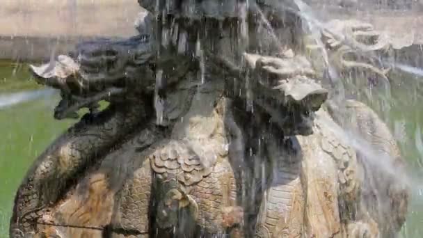 Kamenná socha dračí fontány, Xian, Shaanxi, Čína — Stock video