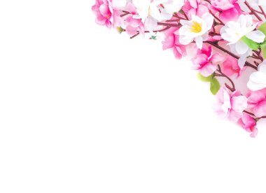 Beyaz arka planda süslenmiştir Bahar çiçeği