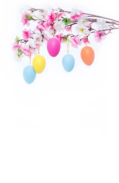 Paskalya yumurtaları bir dalda asılı 