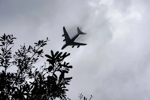 dallarda gökyüzünde düzlem