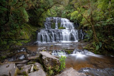 ormanda uzun pozlama şelale