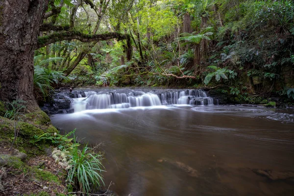 Cascata Lunga Esposizione Nella Foresta — Foto Stock