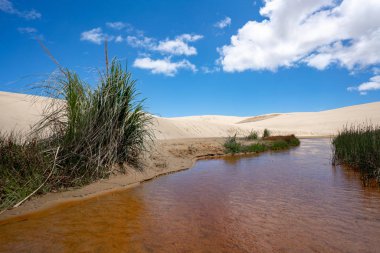 Çöl vahası ve mavi gökyüzü