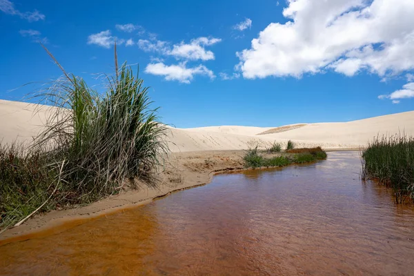 Çöl vahası ve mavi gökyüzü