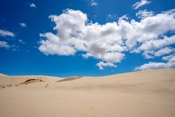 people on the dunes and blue sky