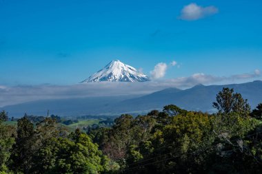 ormanın arkasında karlı dağ