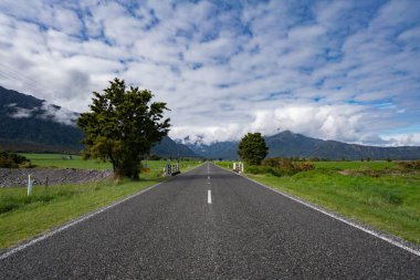 yol ve mavi gökyüzü ağacı