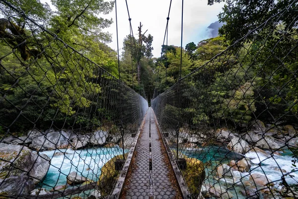 suspension bridge over a river in the forest