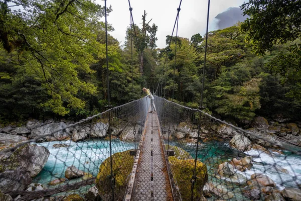 suspension bridge over a river in the forest