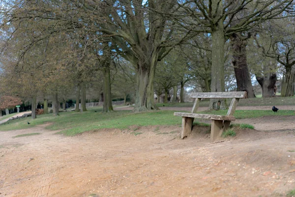 Empty Bench Park — Stock Photo, Image