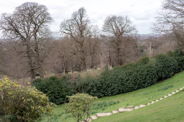 Sentier Dans Parc Près Arbre — Photo