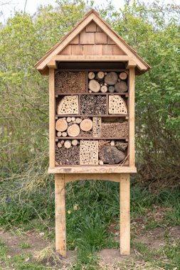 Ormanda odun yığını