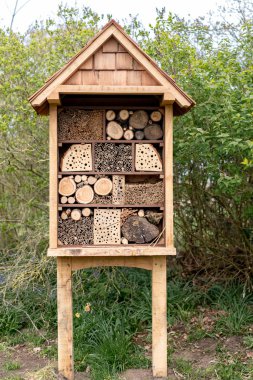 Ormanda odun yığını