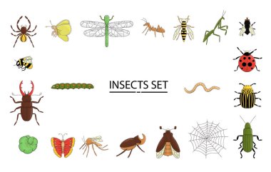 Renkli böceklerin vektör seti. Beyaz arka plan parlak arı, bumble arı, may-bug, sinek, güve, kelebek, tırtıl, örümcek, uğur böceği, böcek, yusufçuk, eşek arısı, sivrisinek, solucan, mantis, örümcek ağı üzerinde izole koleksiyonu