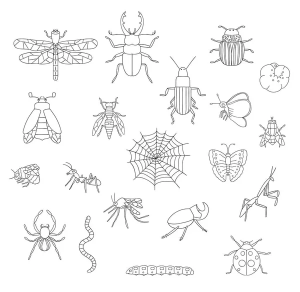 Conjunto vectorial de insectos blancos y negros. Recogida de aislados en — Vector de stock