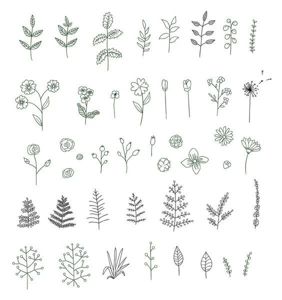 Conjunto de vectores de flores en blanco y negro, hierbas, plantas — Vector de stock