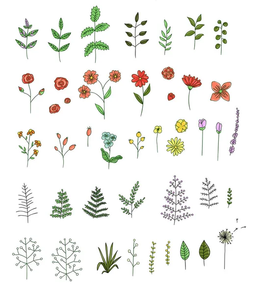 Векторний набір кольорових квітів, трав, рослин — стоковий вектор
