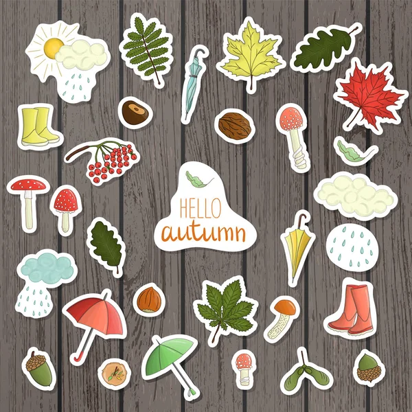 Vector set of colored autumn stickers on shabby wood background. — Stock Vector