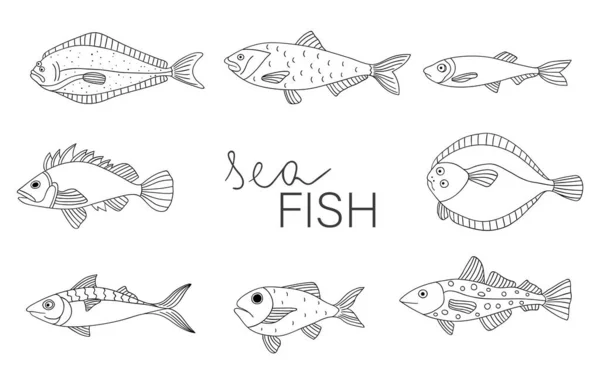 Insieme vettoriale bianco e nero di pesci isolati su sfondo bianco . — Vettoriale Stock