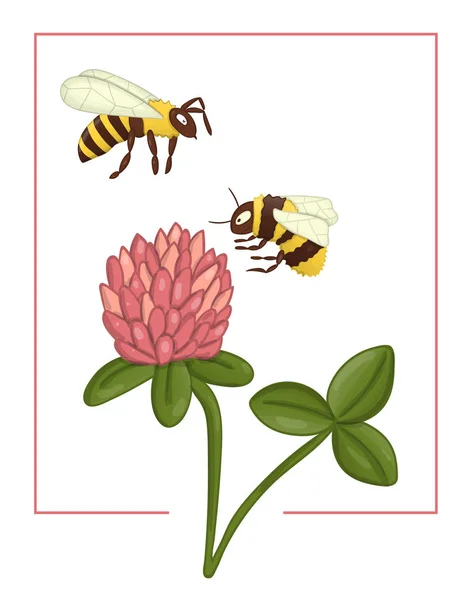 Vector illustration of colored clover with bee and bumblebee. Br — Stock Vector