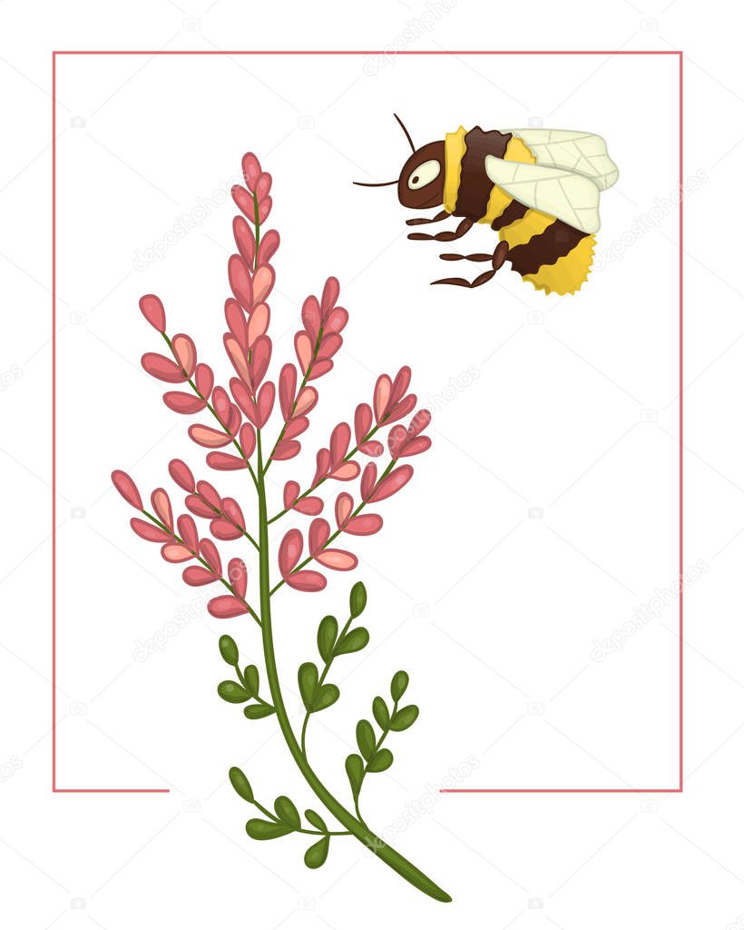 Vector illustration of colored heather with bumblebee. Bright co