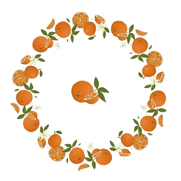 Vector wreath of oranges. Hand drawn cartoon style illustration.