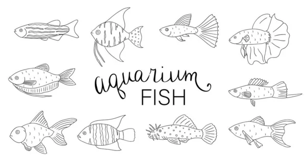 Vector zwart-wit set aquarium vissen geïsoleerd — Stockvector