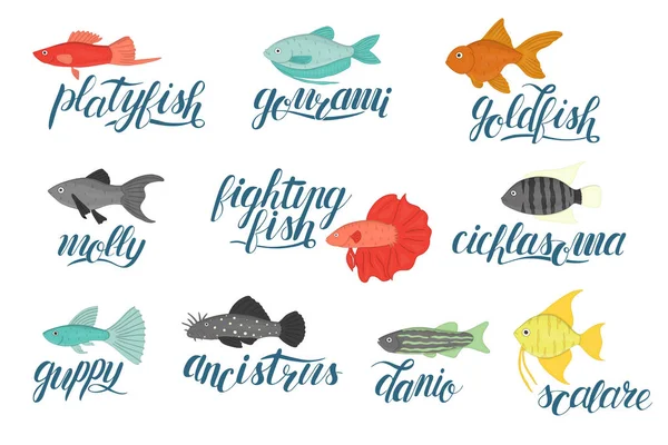 レタリング付き水族館魚のベクトル色セット — ストックベクタ