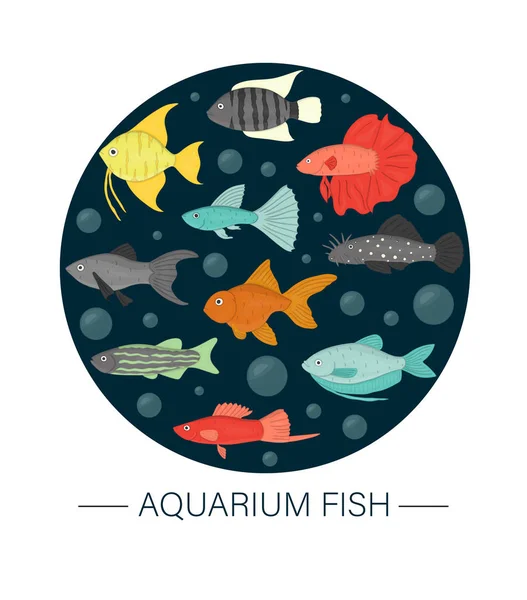 Vector gekleurde illustratie van aquarium vissen ingelijst in cirkel — Stockvector
