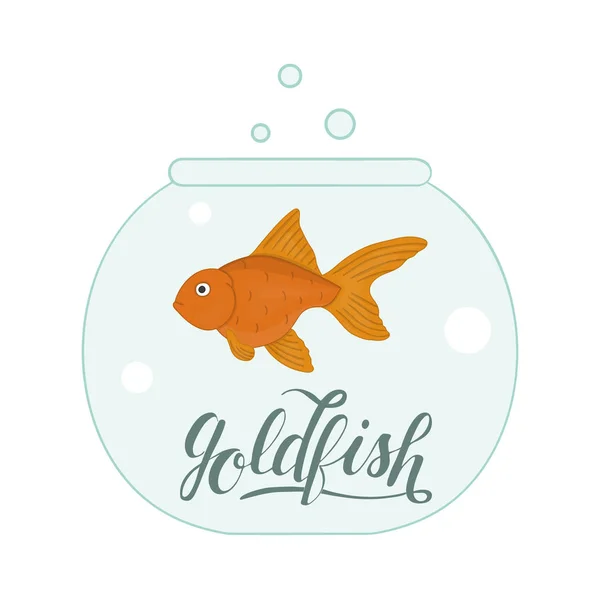 魚名を持つ水族館の魚のベクトル色のイラスト — ストックベクタ