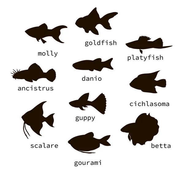 テキスト付き黒い水族館の魚のシルエットのベクトルセット. — ストックベクタ