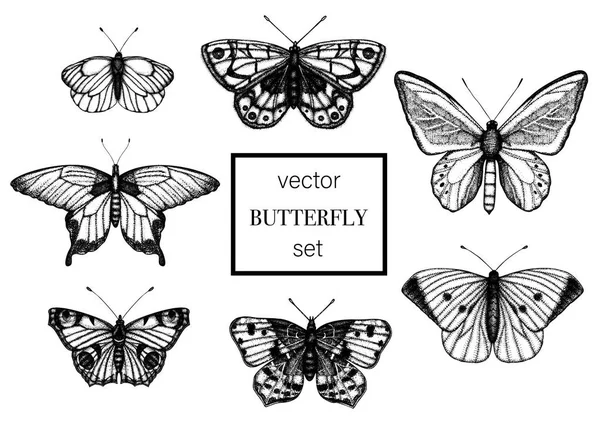 Векторный набор черно-белых бабочек — стоковый вектор