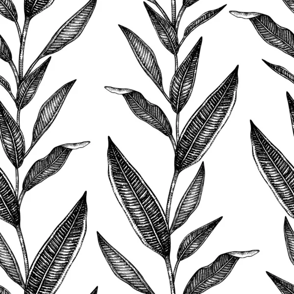 Vector seamless pattern of tropical leaves isolated on white — Stock Vector